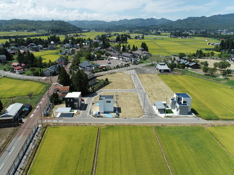 上空から見た添川住宅団地