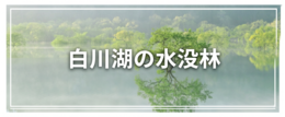 バナー画像の差し替えを行ってください